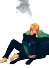 One Piece dj - Ookami