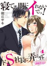 Neteru Aida ni Irenaide! - Do S Shachou ni Ijirarete