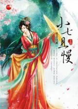Xiao Qi, Qie Man (Novel)