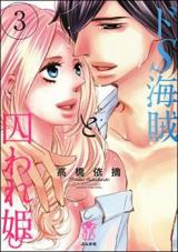 Do S Kaizoku to Toraware Hime