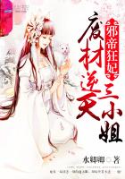 Prodigiously Amazing Weaponsmith (Novel)