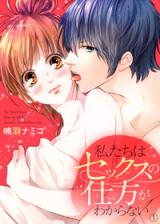 Watashi-tachi wa Sex no Shikata ga Wakaranai