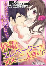 Teiden Elevator de xx to Futarikiri!? - Mienai kara tte Daitan ni Shinaide