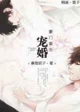 Beloved Marriage in High Society (Novel)