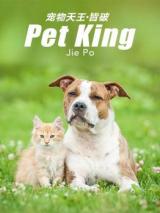 Pet King (Novel)