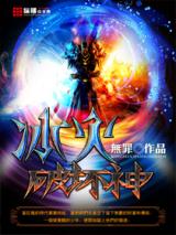 Destroyer of Ice and Fire (Novel)