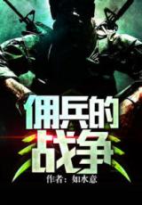 A Mercenary's War (Novel)