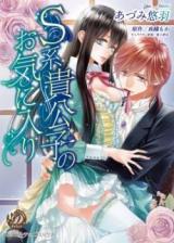 S-kei Kikoushi no Okiniiri