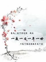 One Night, One Day, One Year, One Lifetime (Novel)