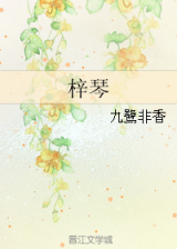 Ziqin (Novel)