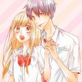 Kareshi-sama ni wa Ara ga Enai