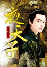 Night Emperor (Novel)