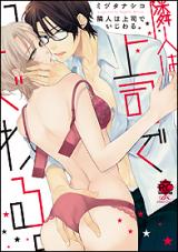 Rinjin wa Joushi de Ijiwaru.