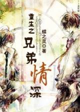 Rebirth of Brotherly Love (Novel)