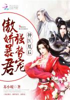 Godly Empress Doctor (Novel)