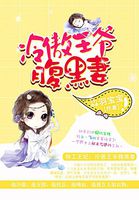 Secret Service Princess: The Cold Prince's Black Belly Wife (Novel)