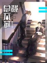 Zong Cai Bu Su (Novel)