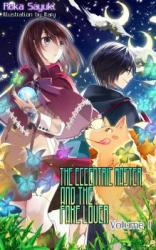 The Eccentric Master and the Fake Lover (Novel)