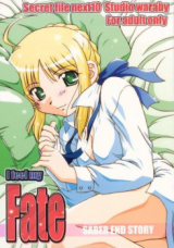 Fate/Stay Night dj - I Feel My Fate