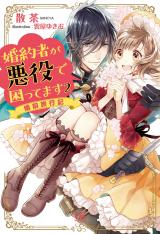 I Am Troubled That My Fiance Is a Villain (Novel)