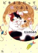 Biki maru datsute neko de aru