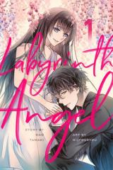Labyrinth Angel (Novel)