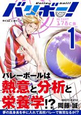 Volleyball!