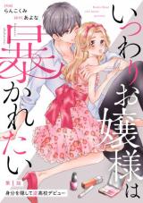 Itsuwari Ojousama wa Abakaretai
