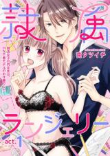 Reizoku Lingerie