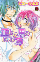 Tadashii Otoko no Shitsukekata