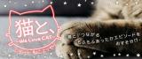 Neko to, - We Love Cat