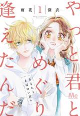 Yatto Kimi to meguri Aeta n da