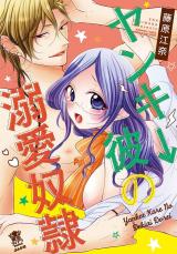 Yanki Kare no Dekiai Dorei