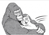 An Extremely Attractive Gorilla