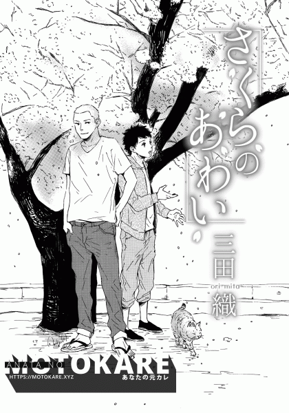 Sakura no Awai