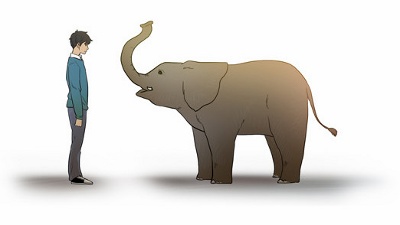 How to Hug an Elephant