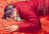 Phoenix Wright dj - Kaseki no Mori