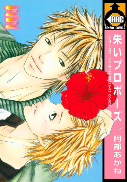 Akai Proposal