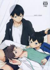 Haikyu!! dj - lustful dream