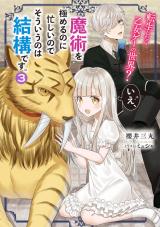 Tensei shitara Otome Game no Sekai? Ie, Majutsu wo Kiwameru no ni Isogashii no de sou iu no wa Kekkou desu (Novel)