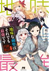 Jimi na Kensei wa Sore Demo Saikyou desu (Novel)