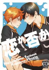 Haikyu!! dj - Koi ka Ina ka