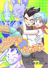 Dragon Ball Z dj - Honey coming!