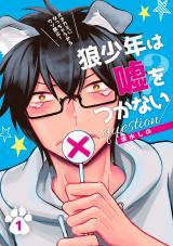 Ookami Shounen wa Uso wo Tsukanai question