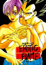 Dragon Ball Z dj - Erotic Flame