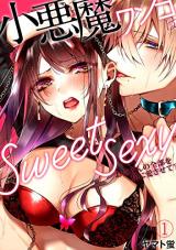 Koakuma Wanko wa sweet sexy -Onee-san no Zenbu wo Boku ni Aisasete?-
