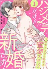 Hajimete Dakedo Shinkon Desu! Proposal Kara Hajimaru Mitsuai Step