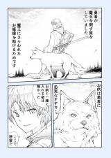 The Journey of the Hero and the Wolf