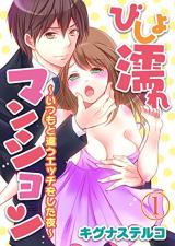 Bishonure Mansion Itsumo to Tigau Ecchi wo shita Yoru