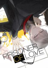 Persona 4 dj - Prisoner of Love